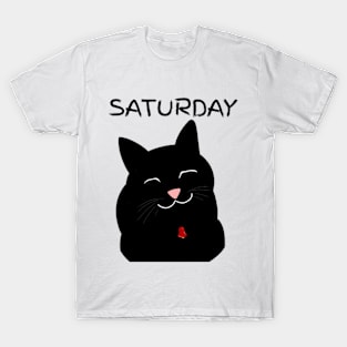 SATURDAY VIBES T-Shirt